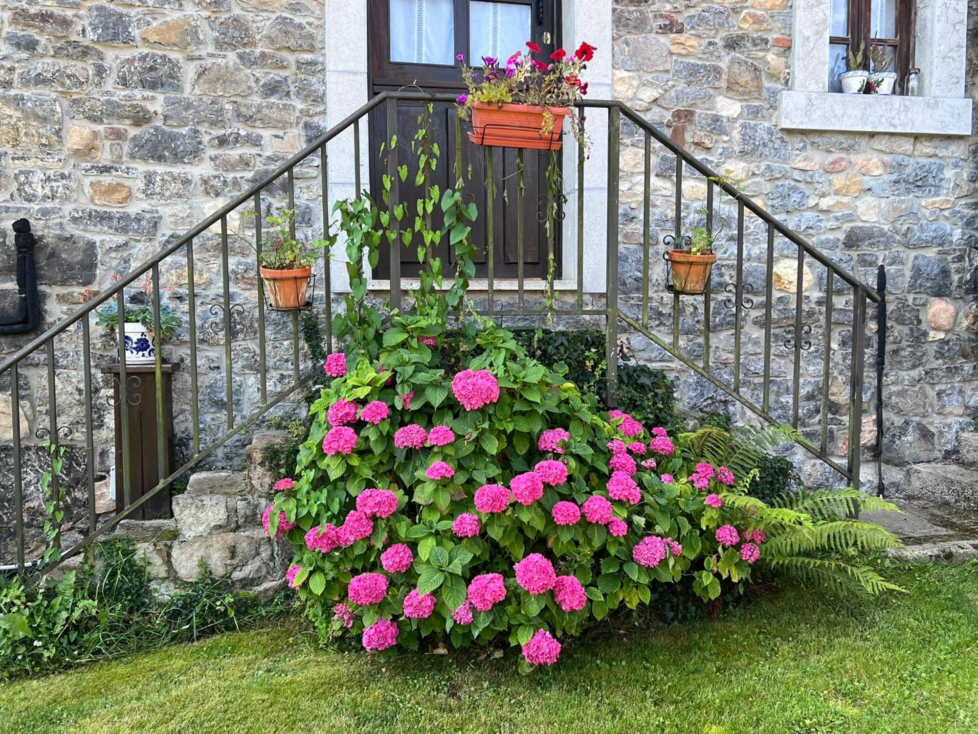Casa Rural Casa Cerezal Onís Buitenkant foto